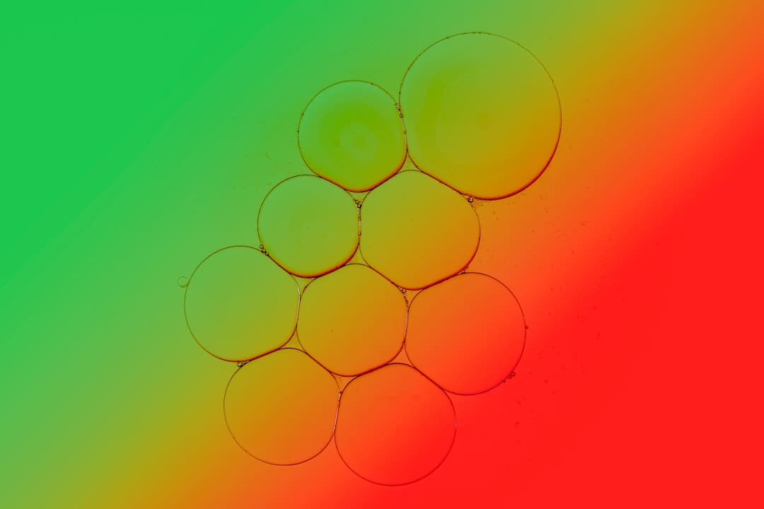 篮球一级运动员
